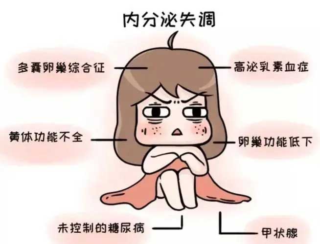 说说内分泌失调性不孕的分类