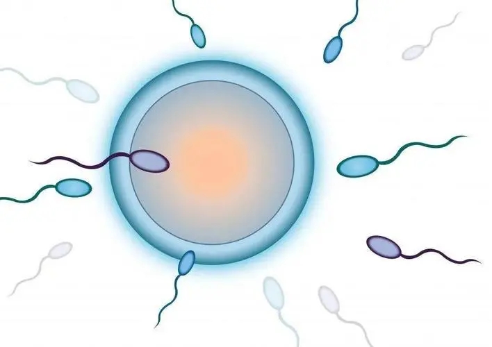 男人出现输精管堵塞需要做的科学诊断是什么