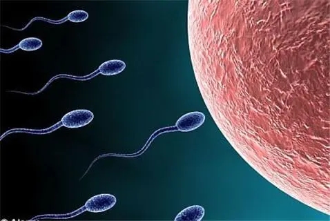 输精管堵塞是由哪些因素造成的