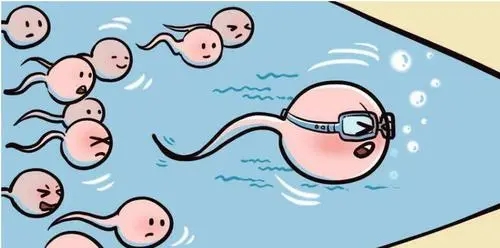 弱精症和死精症有哪些区别?如何辨别弱精症和死精症？