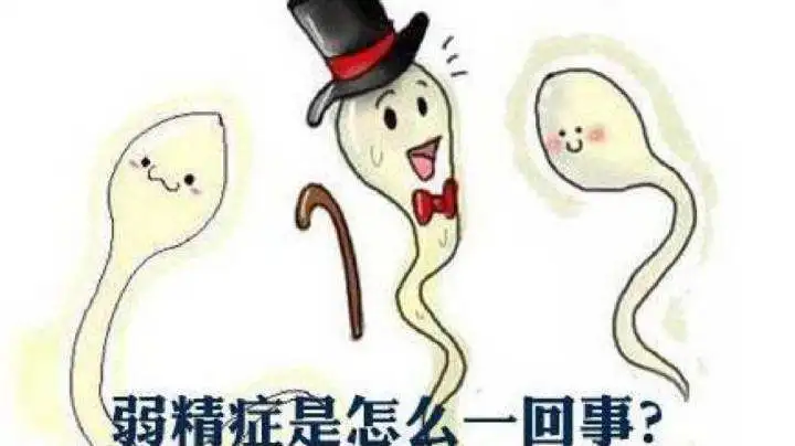 弱精症会给男性带来什么危害