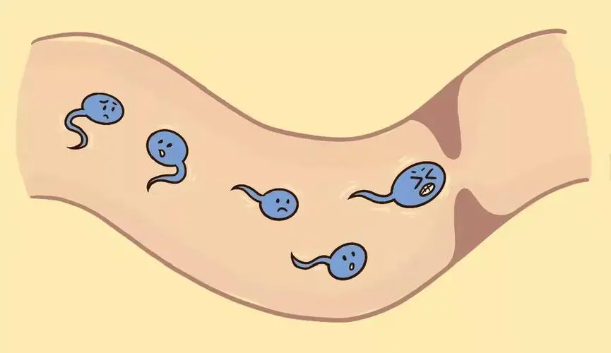 男士该如何预防无精症的发生?