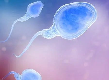 男性少精症的原因有哪些?