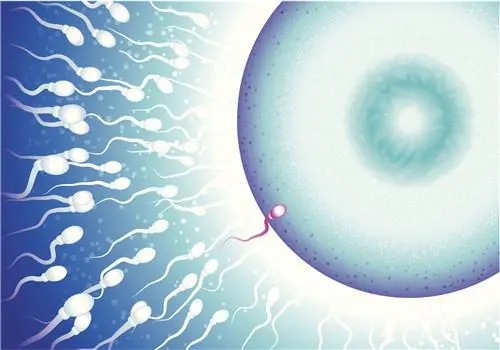 精液不液化的症状有哪些?