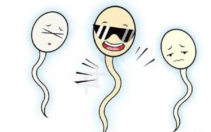 弱精症该怎么办?这些方法可以治疗