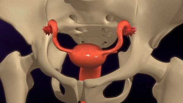 怎样检查确诊输卵管堵塞